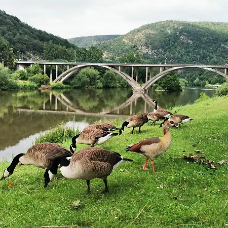 La Bayenne Hébergement de vacances *