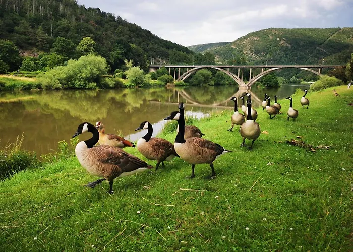 La Bayenne Holiday home *